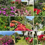 800生态住宿加早餐旅馆 3* 弗洛里