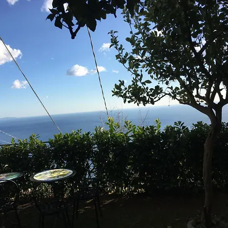 800生态住宿加早餐旅馆 2* 弗洛里