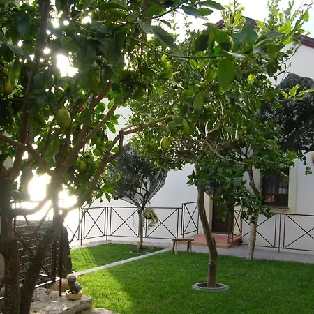 L'eco Dell'800
